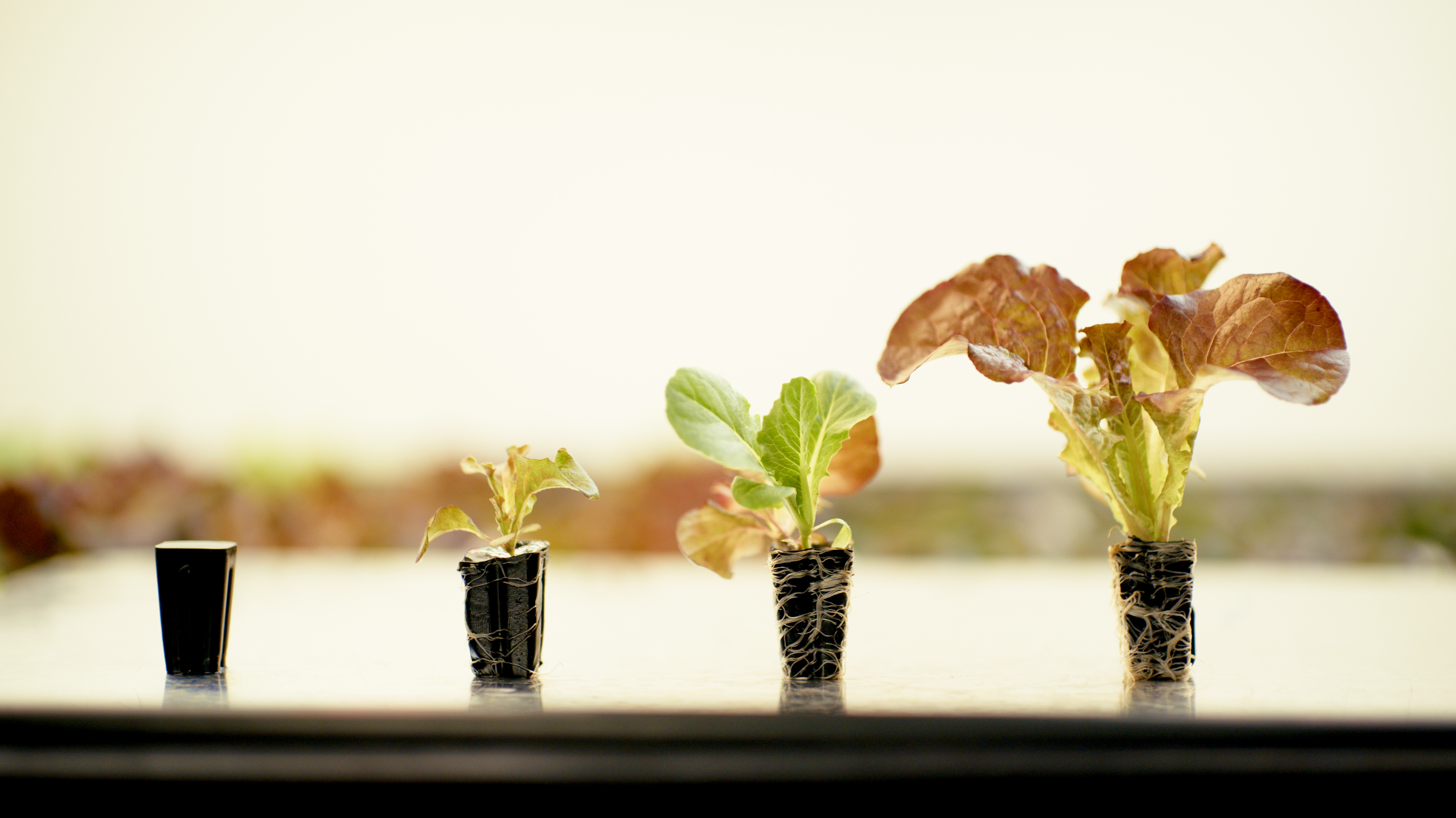 Innovative Solutions