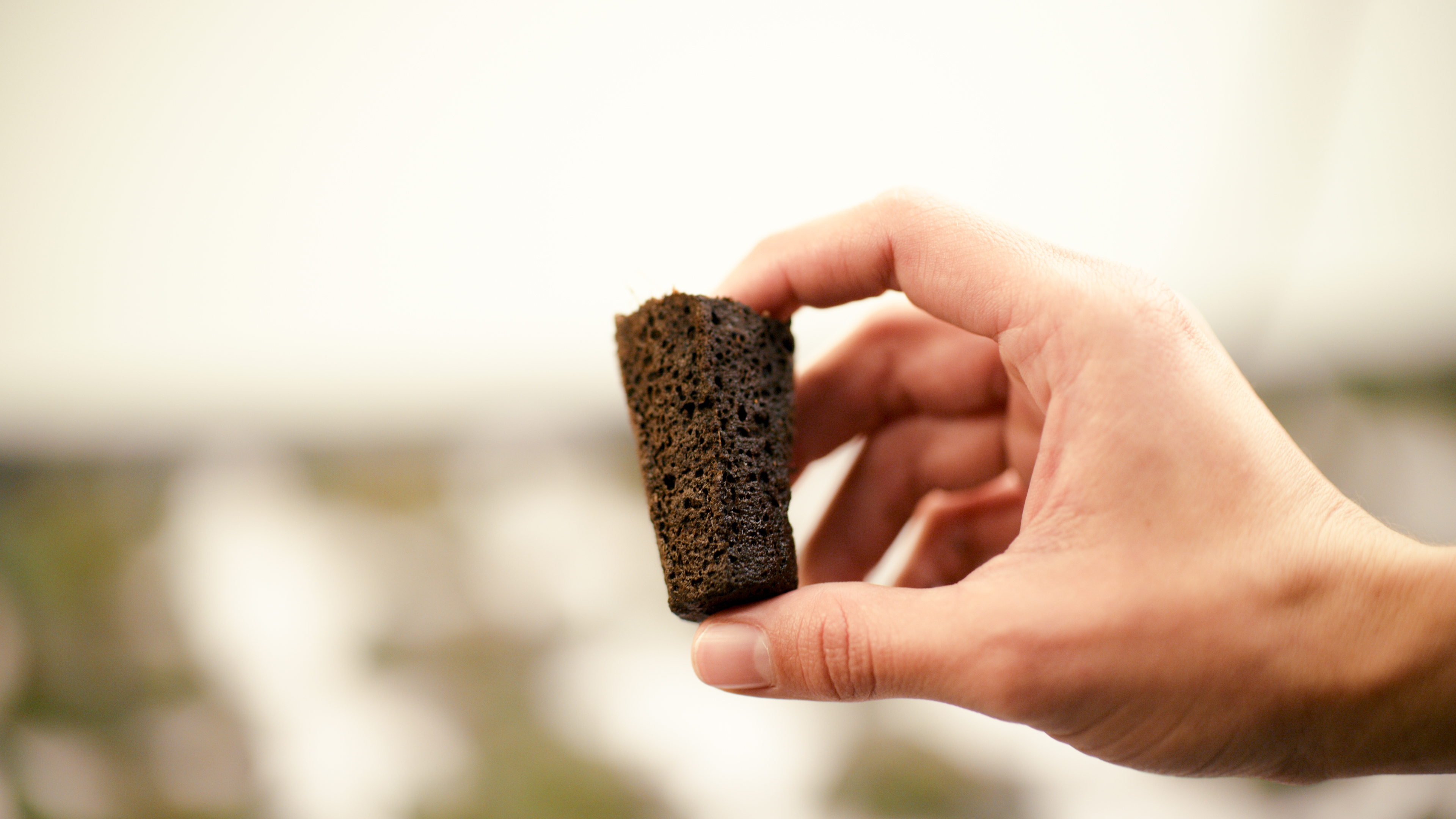 PolyForm biopolymer substrate