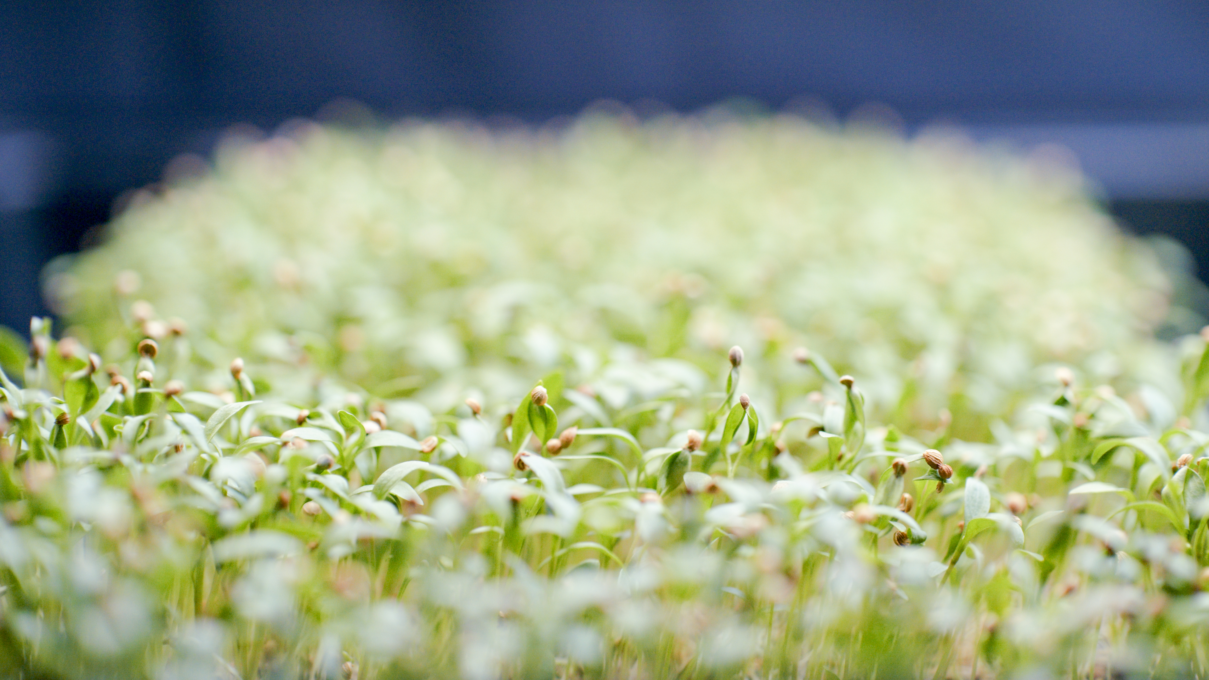 Improved Performance